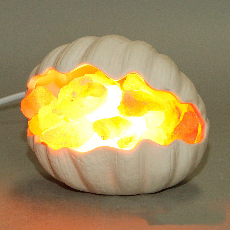 Shell Himalayan crystal salt lamp